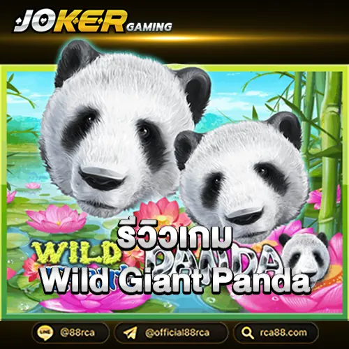 รีวิวเกมWild Giant Panda