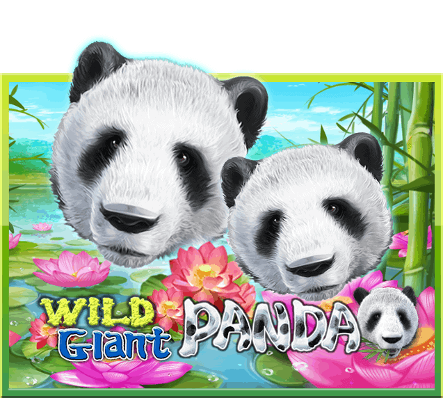 รีวิวเกมWild Giant Panda